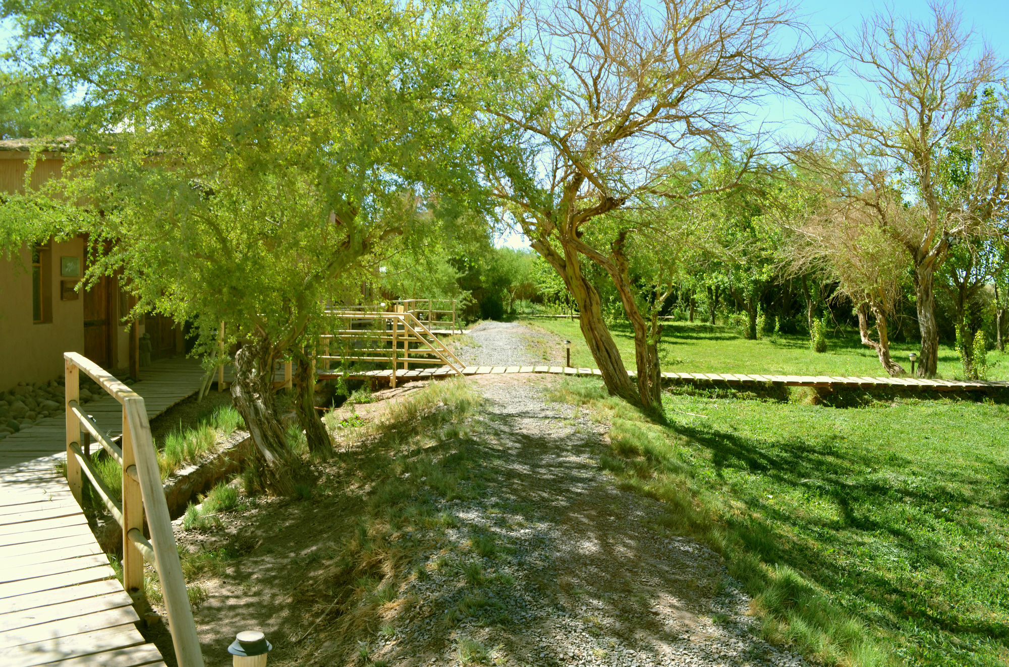 Atacama-Adventure Wellness & Ecolodge San Pedro de Atacama Ngoại thất bức ảnh